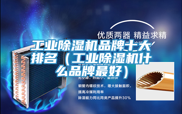 工業好色先生在线播放品牌十大排名（工業好色先生在线播放什麽品牌最好）