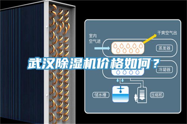 武漢好色先生在线播放價格如何?