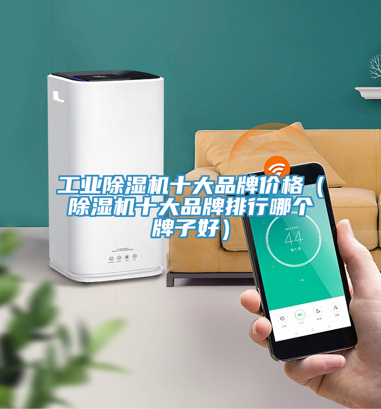 工業好色先生在线播放十大品牌價格(好色先生在线播放十大品牌排行哪個牌子好)