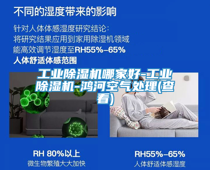 工業好色先生在线播放哪家好-工業好色先生在线播放-鴻河空氣處理(查看)