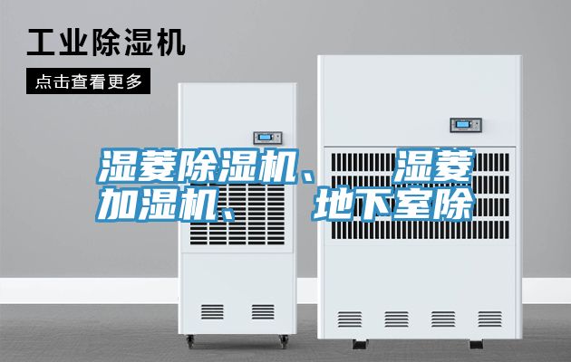 濕菱好色先生在线播放、  濕菱加濕機、  地下室除