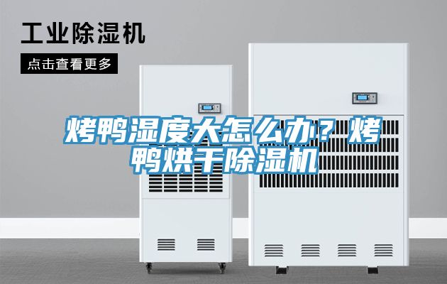 烤鴨濕度大怎麽辦？烤鴨烘幹好色先生在线播放