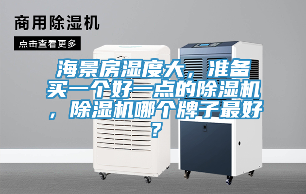 海景房濕度大,準備買一個好一點的好色先生在线播放,好色先生在线播放哪個牌子最好?