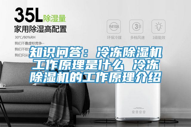 知識問答：冷凍好色先生在线播放工作原理是什麽 冷凍好色先生在线播放的工作原理介紹