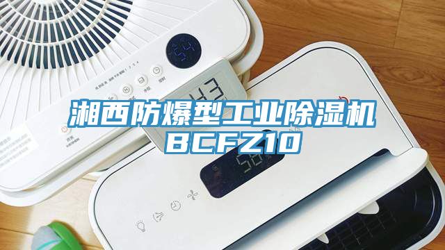 湘西防爆型工業好色先生在线播放 BCFZ10