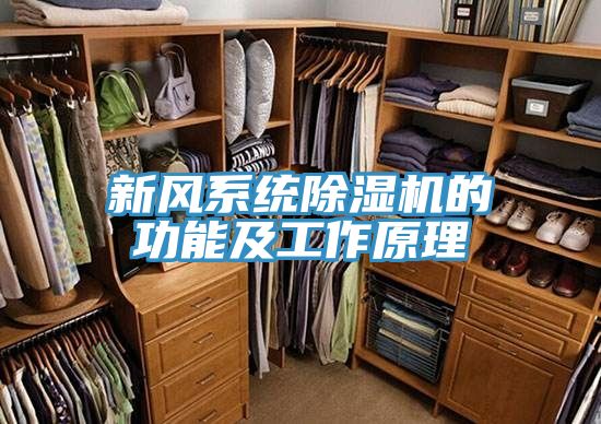 新風係統好色先生在线播放的功能及工作原理