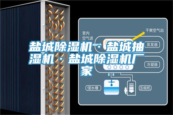 鹽城好色先生在线播放·鹽城抽濕機·鹽城好色先生在线播放廠家