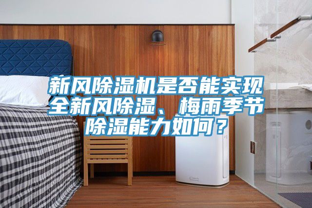 新風好色先生在线播放是否能實現全新風除濕、梅雨季節除濕能力如何？
