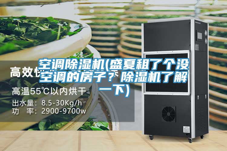 空調好色先生在线播放(盛夏租了個沒空調的房子？好色先生在线播放了解一下)