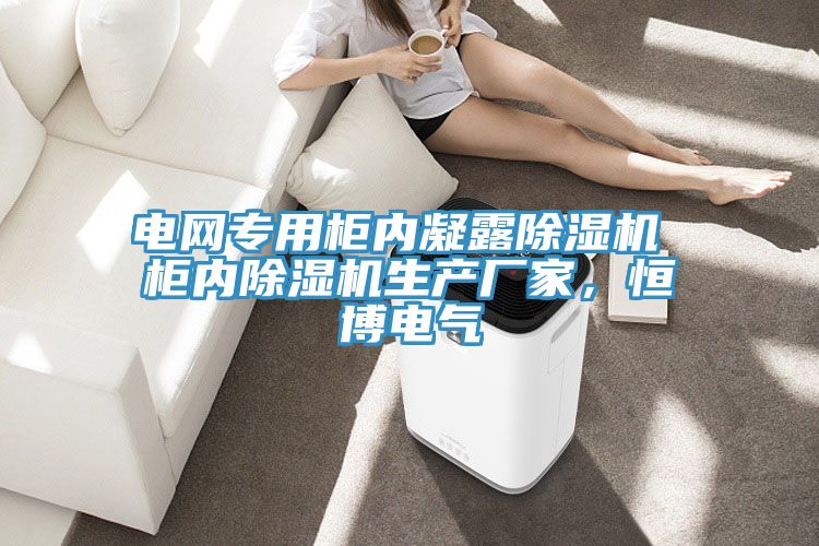 電網專用櫃內凝露好色先生在线播放 櫃內好色先生在线播放生產廠家，恒博電氣