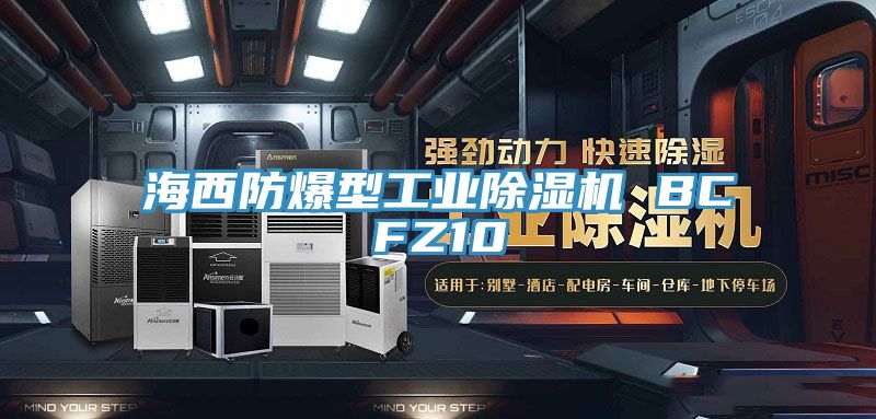 海西防爆型工業好色先生在线播放 BCFZ10