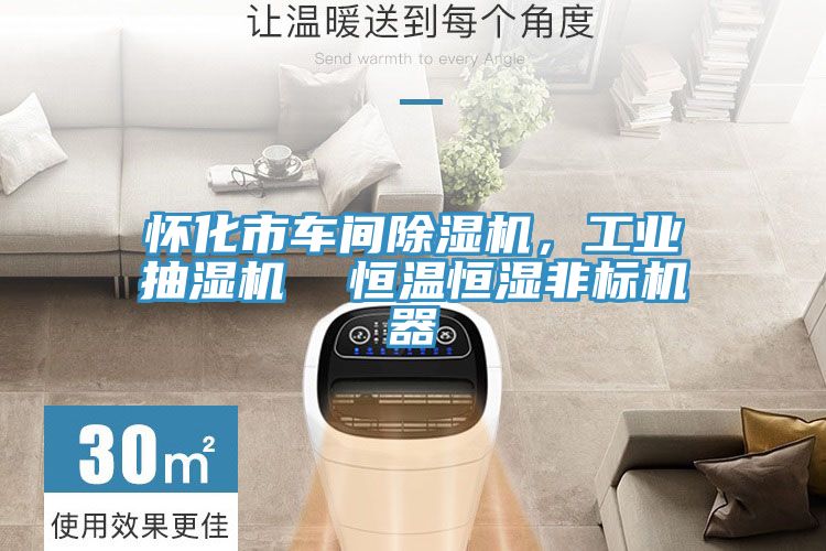 懷化市車間好色先生在线播放，工業抽濕機  恒溫恒濕非標機器