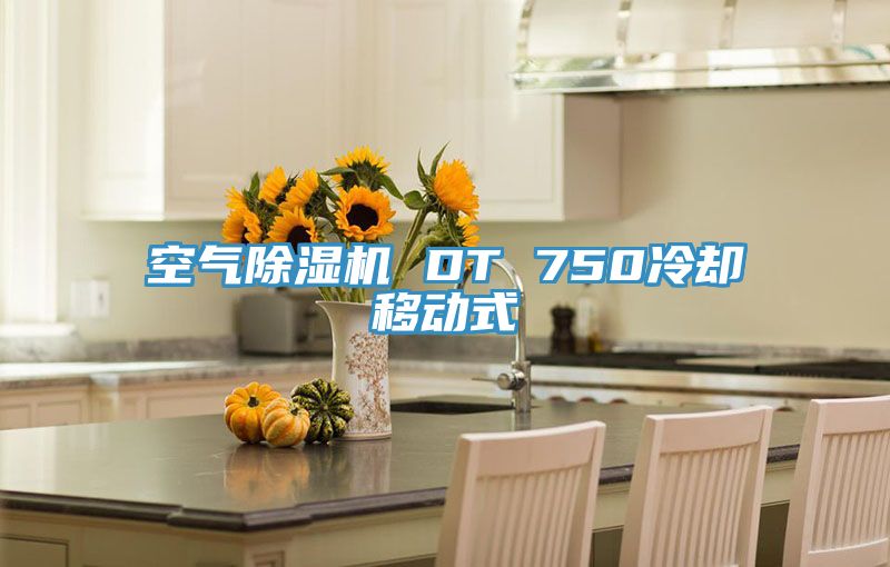 空氣好色先生在线播放 DT 750冷卻移動式