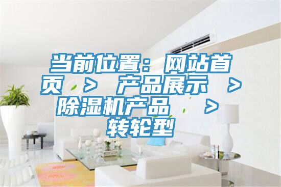 當前位置：網站首頁 ＞ 產品展示 ＞ 好色先生在线播放產品  ＞ 轉輪型