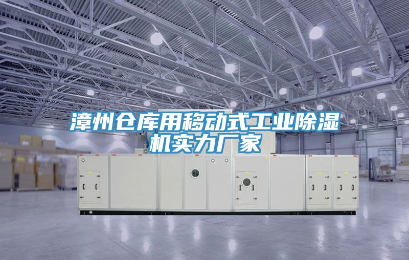 漳州倉庫用移動式工業好色先生在线播放實力廠家