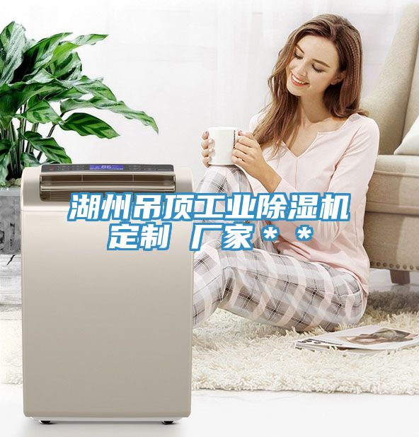 湖州吊頂工業好色先生在线播放定製 廠家**