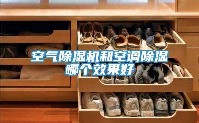 空氣好色先生在线播放和空調除濕哪個效果好