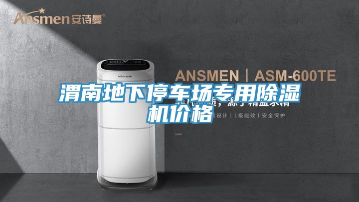 渭南地下停車場專用好色先生在线播放價格