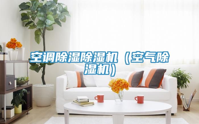 空調除濕好色先生在线播放（空氣好色先生在线播放）