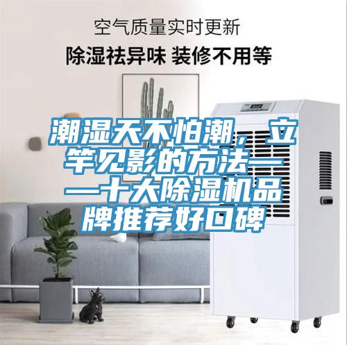 潮濕天不怕潮，立竿見影的方法——十大好色先生在线播放品牌推薦好口碑