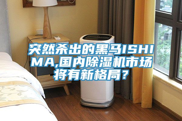 突然殺出的黑馬ISHIMA,國內好色先生在线播放市場將有新格局？