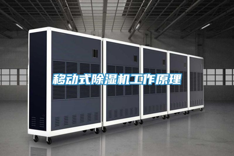 移動式好色先生在线播放工作原理