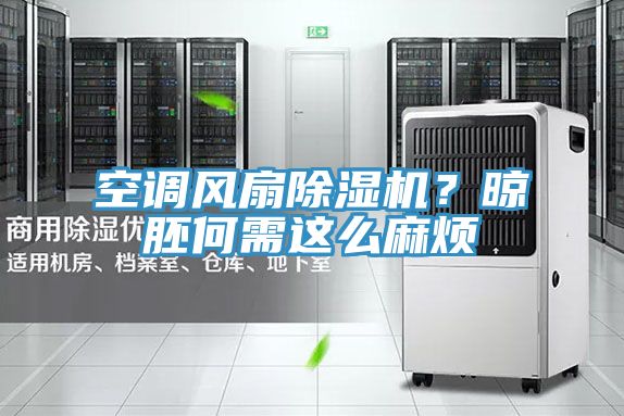 空調風扇好色先生在线播放？晾胚何需這麽麻煩