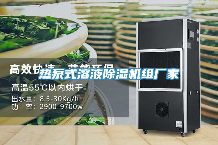 熱泵式溶液好色先生在线播放組廠家