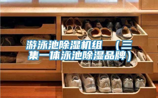 遊泳池好色先生在线播放組 (三集一體泳池除濕品牌)