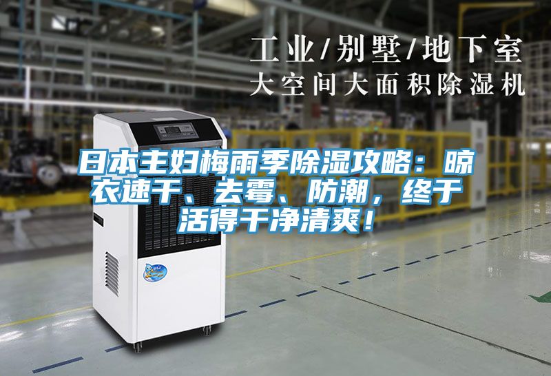 日本主婦梅雨季除濕攻略：晾衣速幹、去黴、防潮，終於活得幹淨清爽！