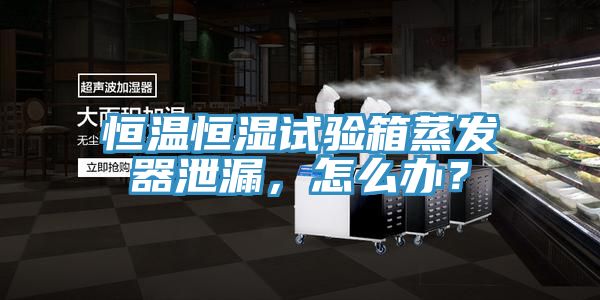 恒溫恒濕試驗箱蒸發器泄漏,怎麽辦?