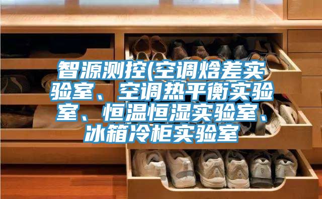 智源測控(空調焓差實驗室、空調熱平衡實驗室、恒溫恒濕實驗室、冰箱冷櫃實驗室