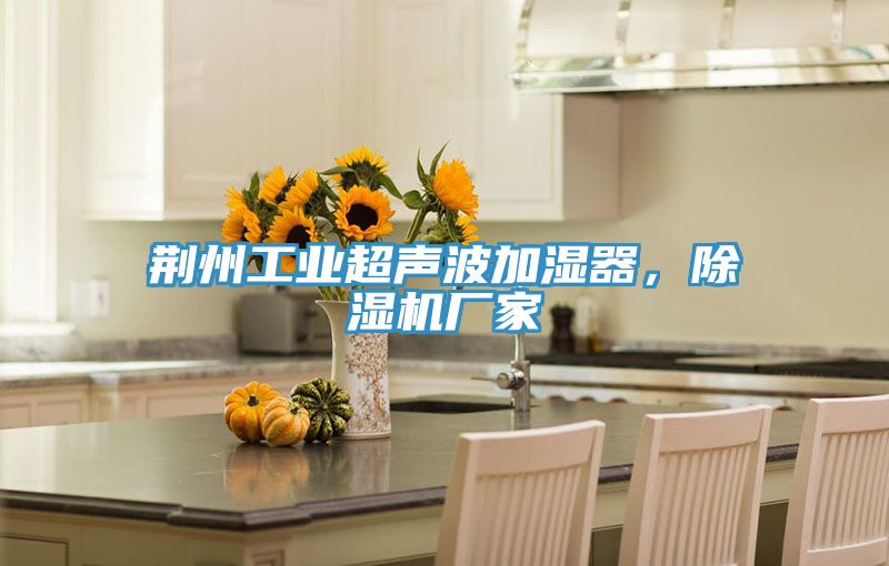 荊州工業超聲波加濕器，好色先生在线播放廠家