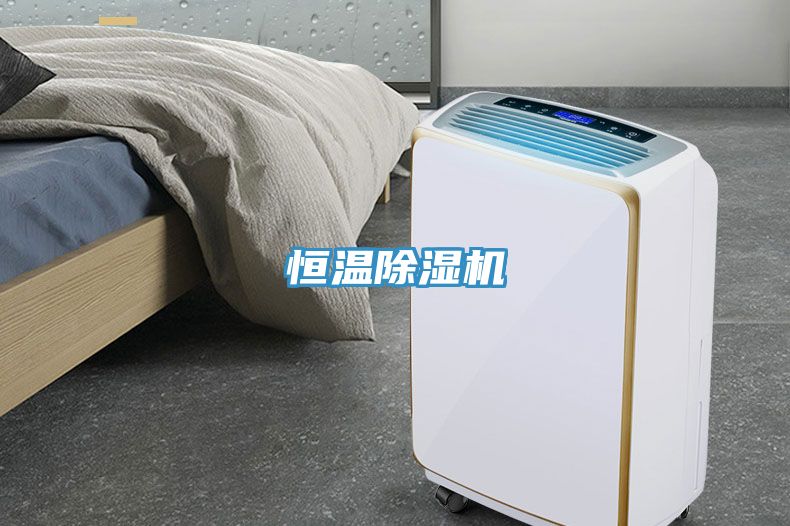 恒溫好色先生在线播放