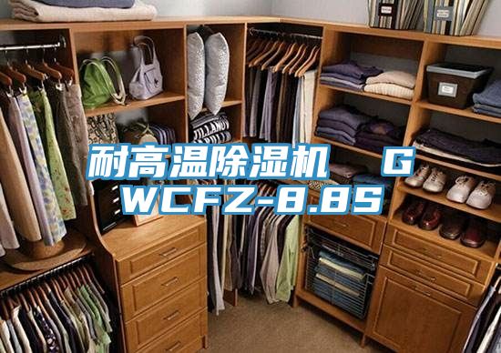 耐高溫好色先生在线播放  GWCFZ-8.8S