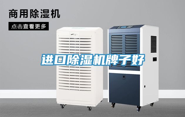 進口好色先生在线播放牌子好