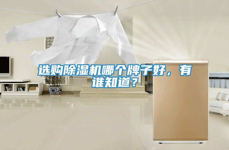 選購好色先生在线播放哪個牌子好，有誰知道？