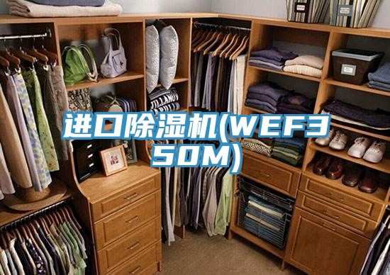 進口好色先生在线播放(WEF350M)