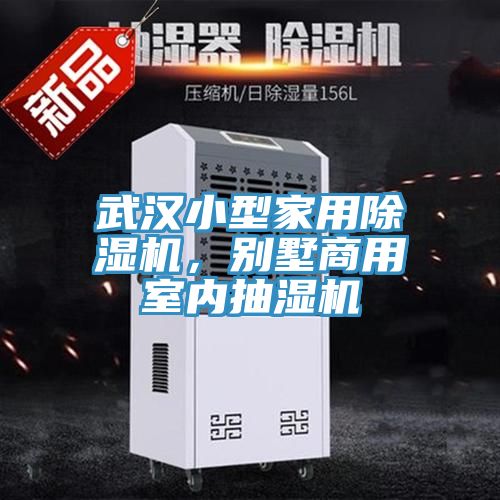 武漢小型家用好色先生在线播放，別墅商用室內抽濕機