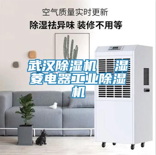 武漢好色先生在线播放  濕菱電器工業好色先生在线播放
