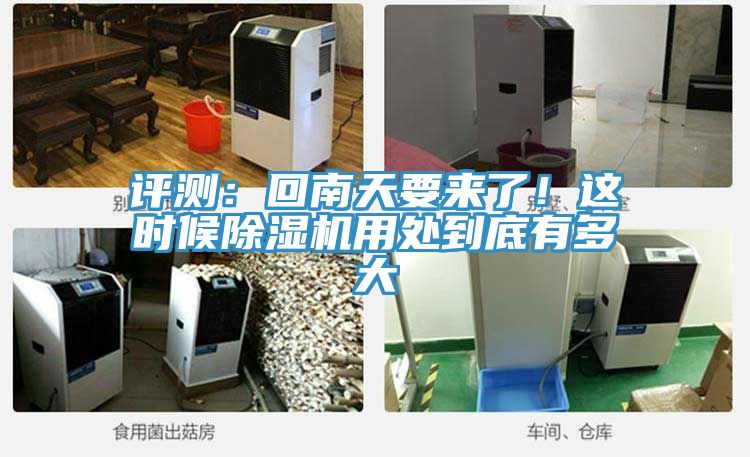 評測：回南天要來了！這時候好色先生在线播放用處到底有多大