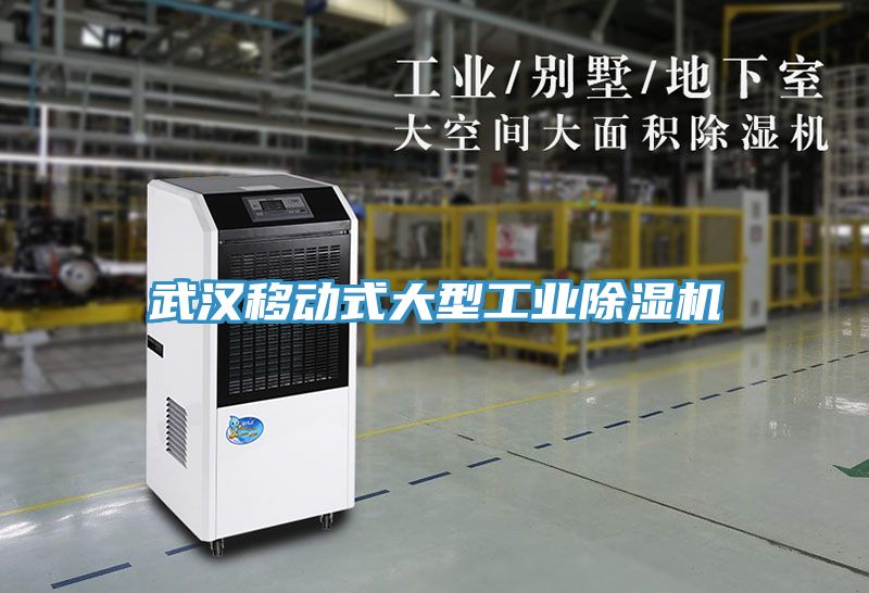 武漢移動式大型工業好色先生在线播放