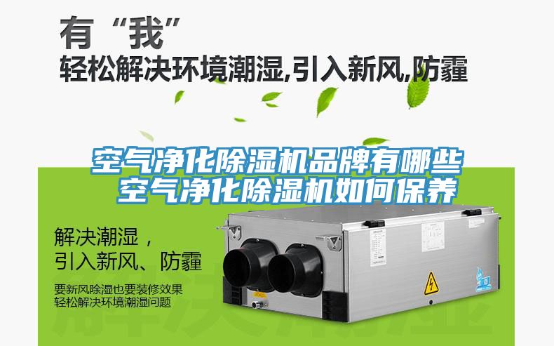 空氣淨化好色先生在线播放品牌有哪些 空氣淨化好色先生在线播放如何保養