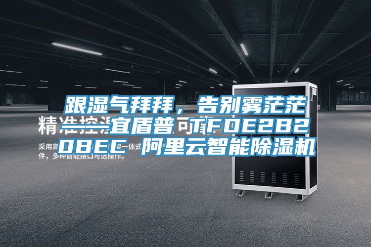 跟濕氣拜拜，告別霧茫茫——宜盾普 TFDE2B20BEC 阿裏雲智能好色先生在线播放