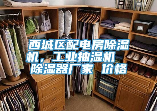 西城區配電房好色先生在线播放，工業抽濕機  除濕器廠家 價格