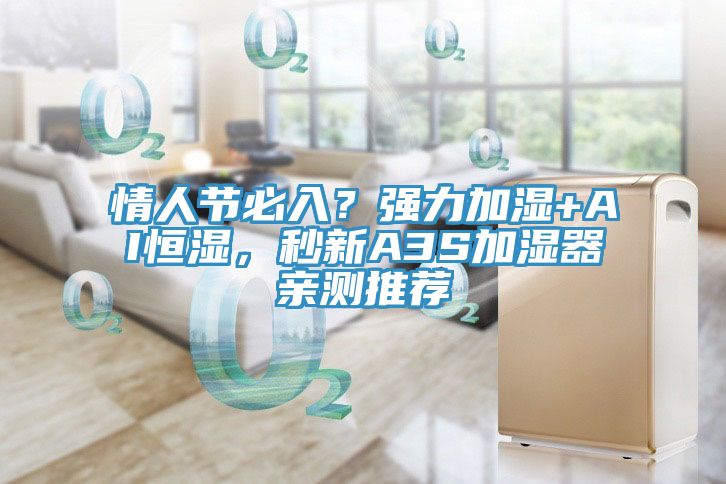 情人節必入？強力加濕+AI恒濕，秒新A3S加濕器親測推薦