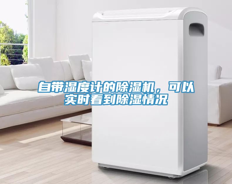 自帶濕度計的好色先生在线播放，可以實時看到除濕情況