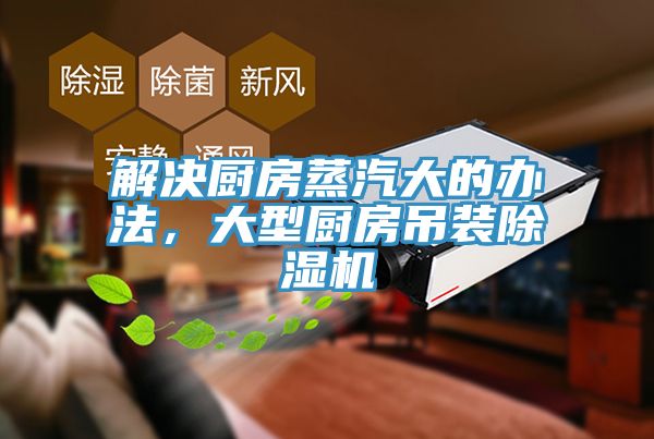 解決廚房蒸汽大的辦法，大型廚房吊裝好色先生在线播放