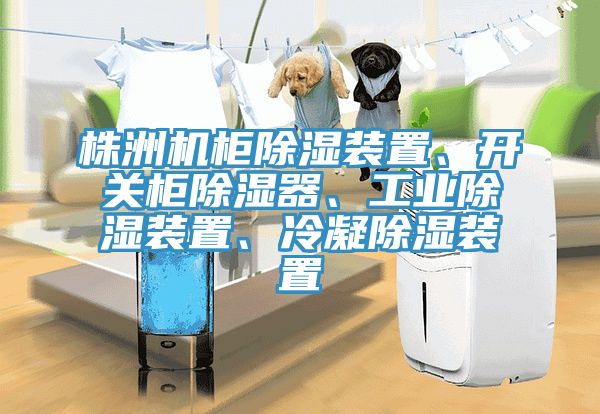 株洲機櫃除濕裝置、開關櫃除濕器、工業除濕裝置、冷凝除濕裝置