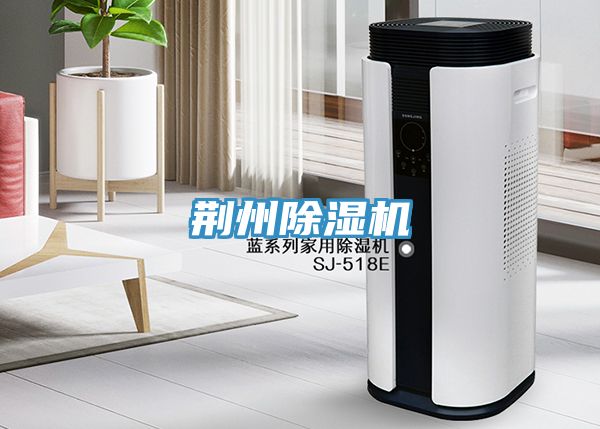 荊州好色先生在线播放